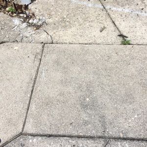 Meet your Posher, Tim